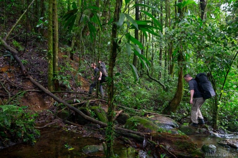Expédition Galbao (Guyane)