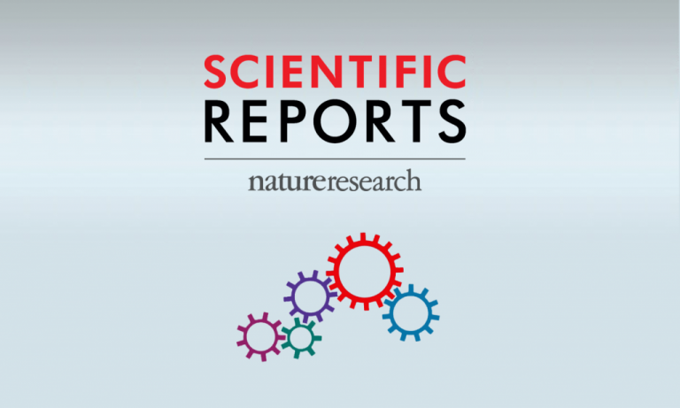 Les communautés d’arbres, de champignons et d’invertébrés en forêt Amazonienne