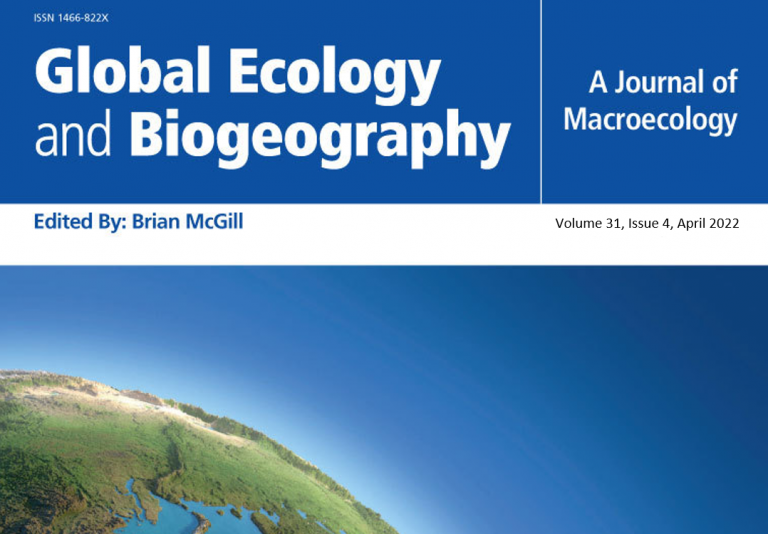 Soil macroinvertebrate communities: A world‐wide assessment
